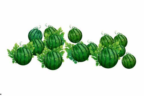 阿团吃瓜,揭秘娱乐圈那些不为人知的幕后故事