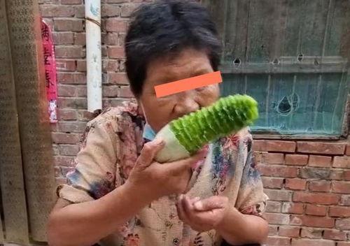 婆婆给媳妇吃瓜