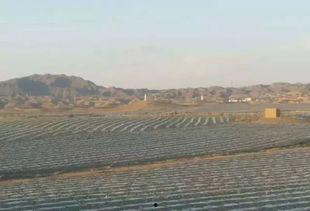 苏州姑苏吃瓜事件,一场网络热议背后的真相与反思