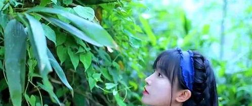 晨曦吃瓜视频资源,揭秘热门视频背后的瓜界风云