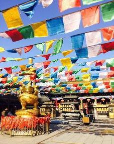 逛寺庙吃瓜,闲逛间品味古韵瓜香