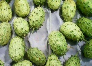 孕妇可以吃刺角瓜,刺角瓜的营养与美味