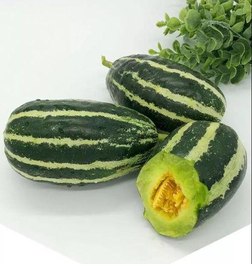 洋瓜尖可以吃吗