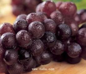 喝完酒后吃籽瓜好吗,酒后食用籽瓜的适宜性探讨