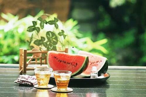 在树底下吃瓜,夏日休闲时光的美好记忆