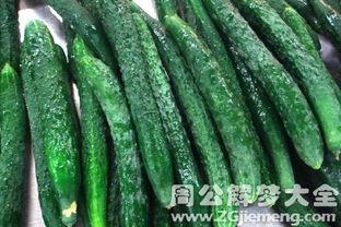 梦见吃别人地里的瓜,瓜田里的神秘食客之旅