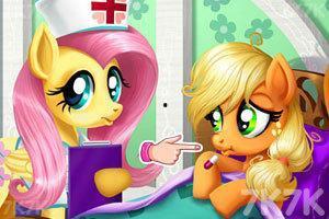 暴躁小马吃瓜,揭秘网络红人的爆笑日常